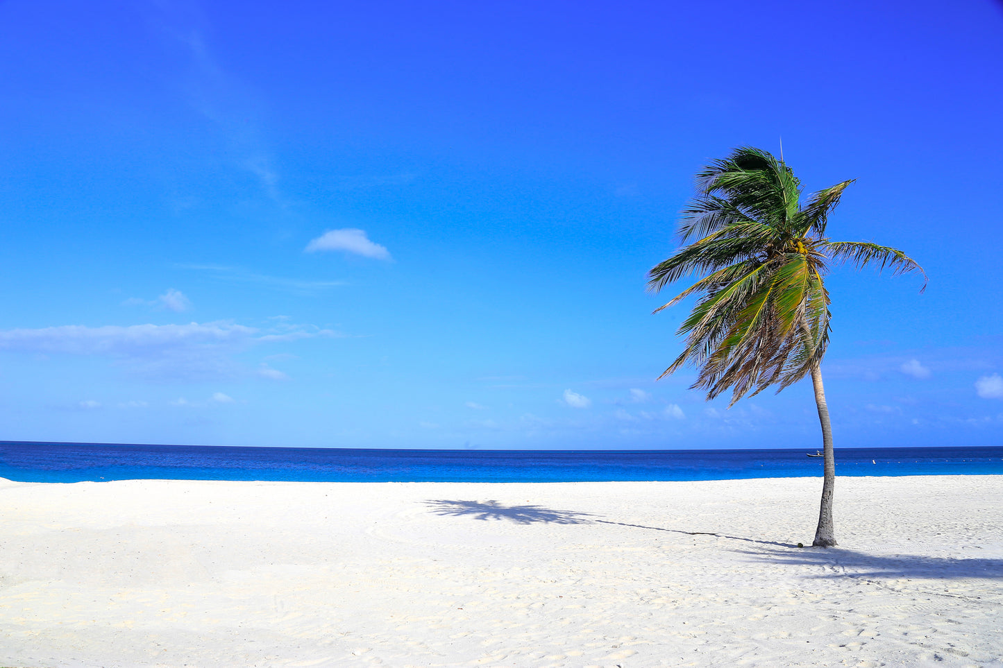 Aruba - Casa Alessandra - 1 bedroom