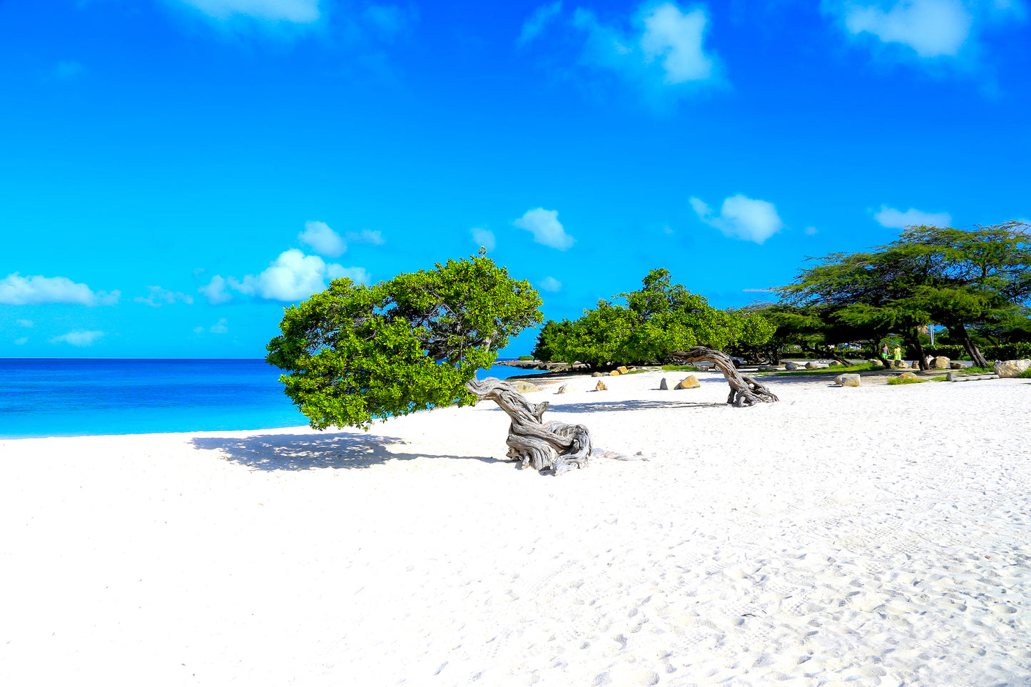 Aruba - Casa Alessandra - 2 bedrooms