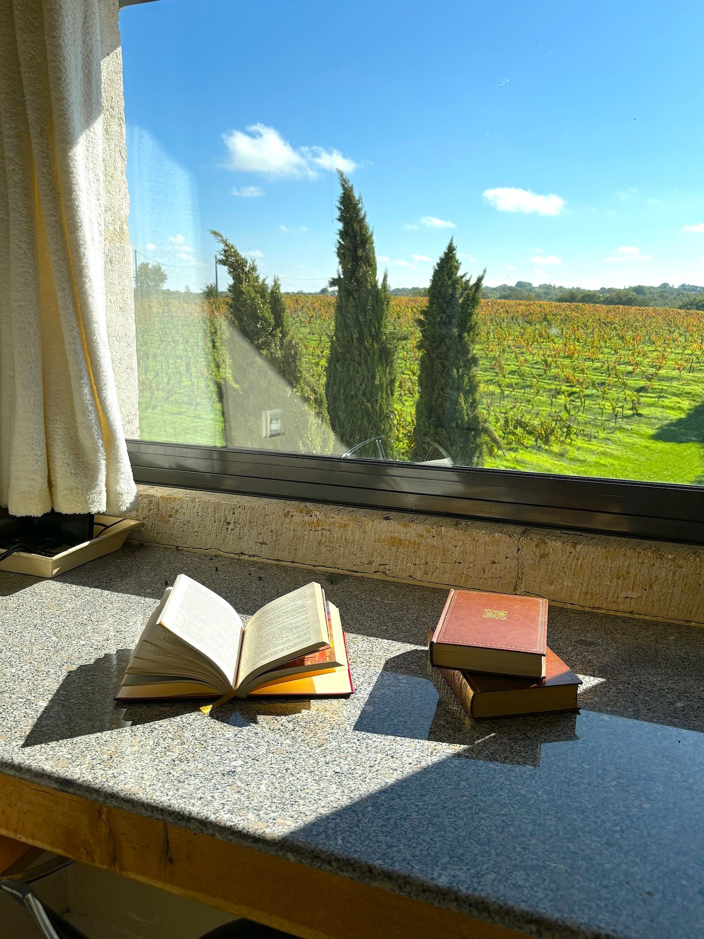 Barguelonne-en-Quercy - Domaine Coeur des Vignes