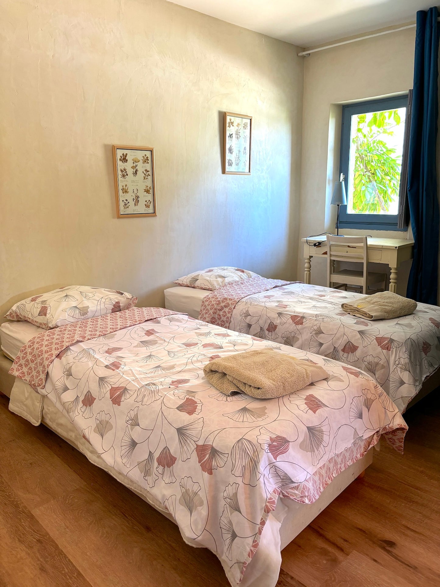 Barguelonne-en-Quercy - Domaine Coeur des Vignes