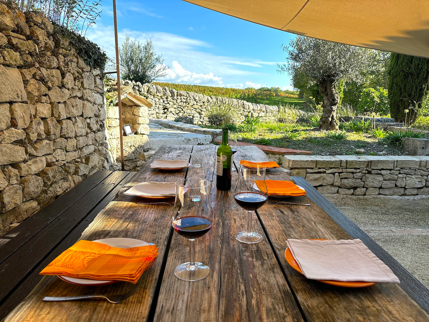 Barguelonne-en-Quercy - Domaine Coeur des Vignes