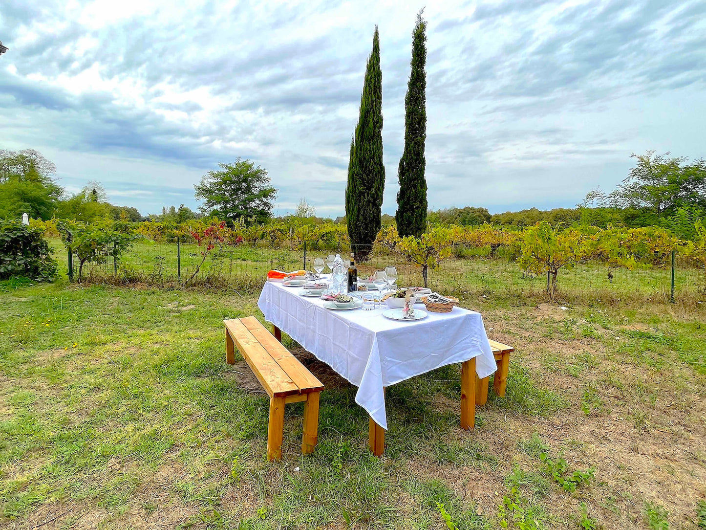 Saint-Emilion - Domaine de Sainte-Terre
