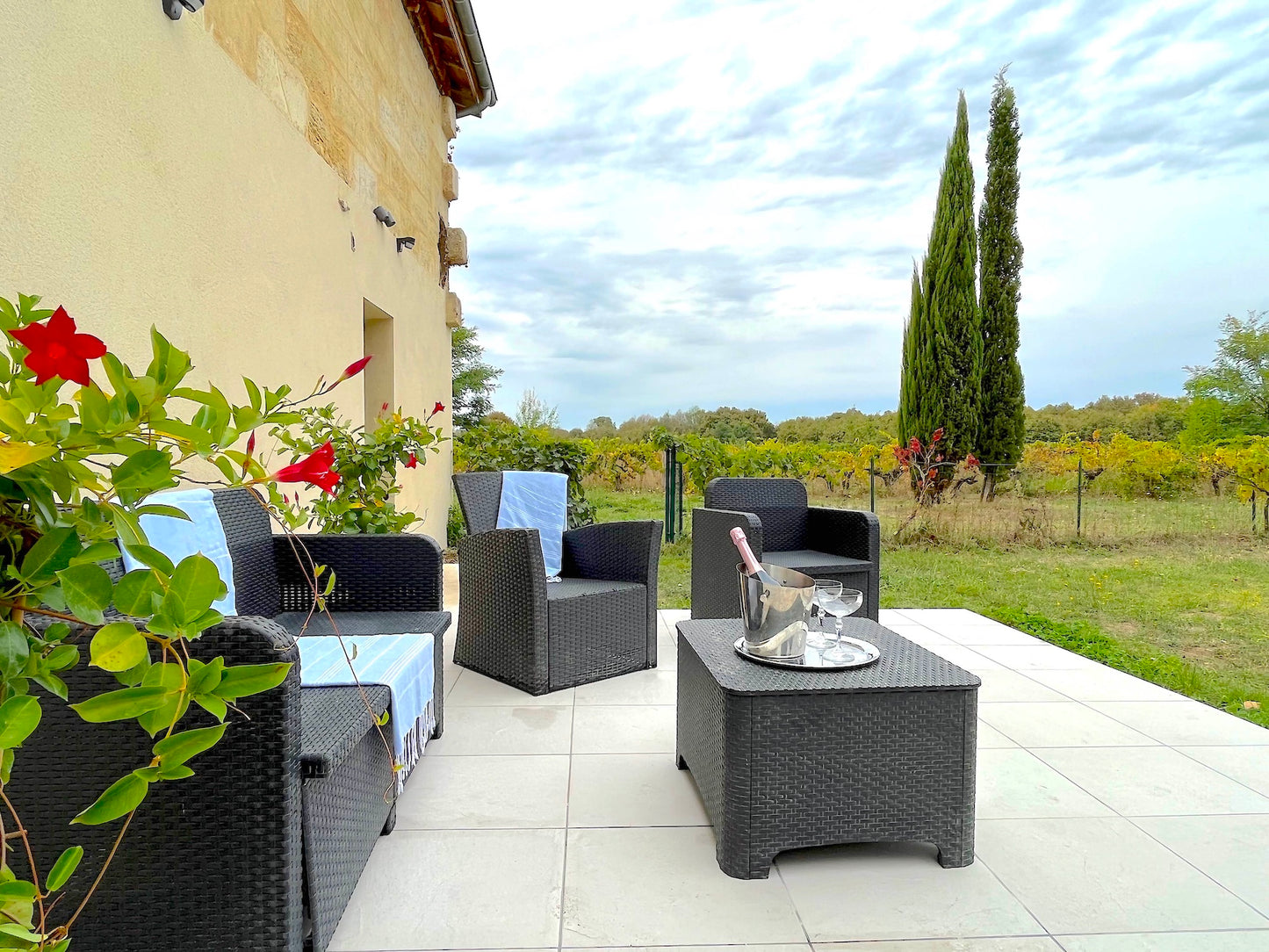 Saint-Emilion - Domaine de Sainte-Terre