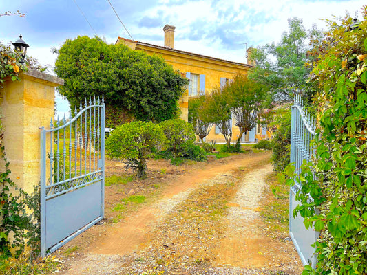 Saint-Emilion - Domaine de Sainte-Terre