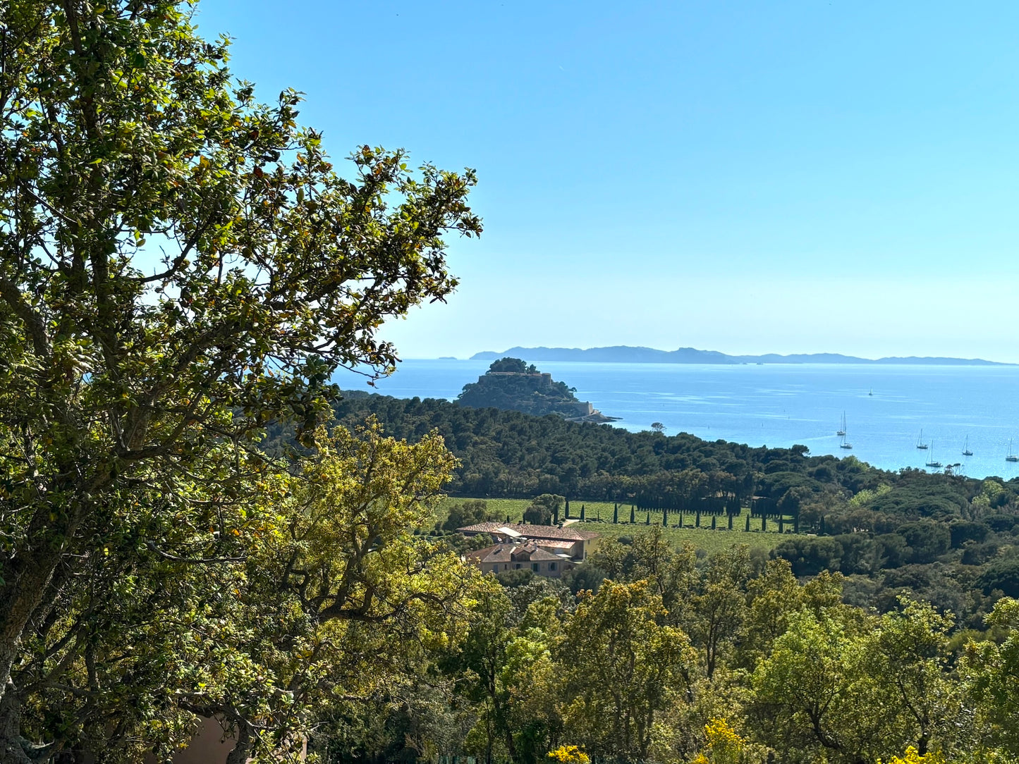 Bormes-les-Mimosas - Villa Bruyères