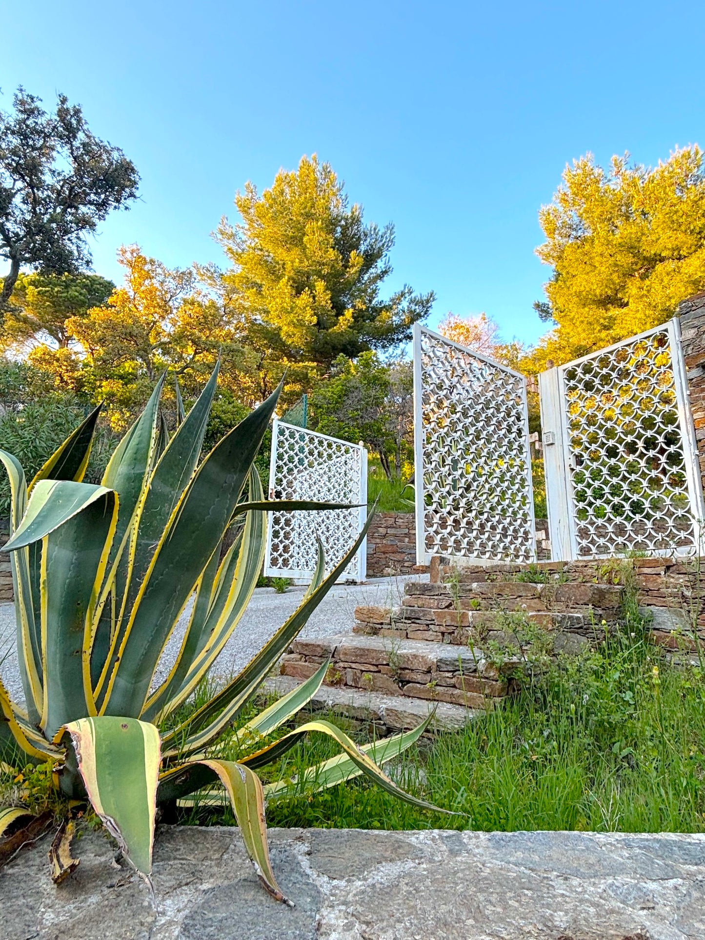 Bormes-les-Mimosas - Villa Bruyères