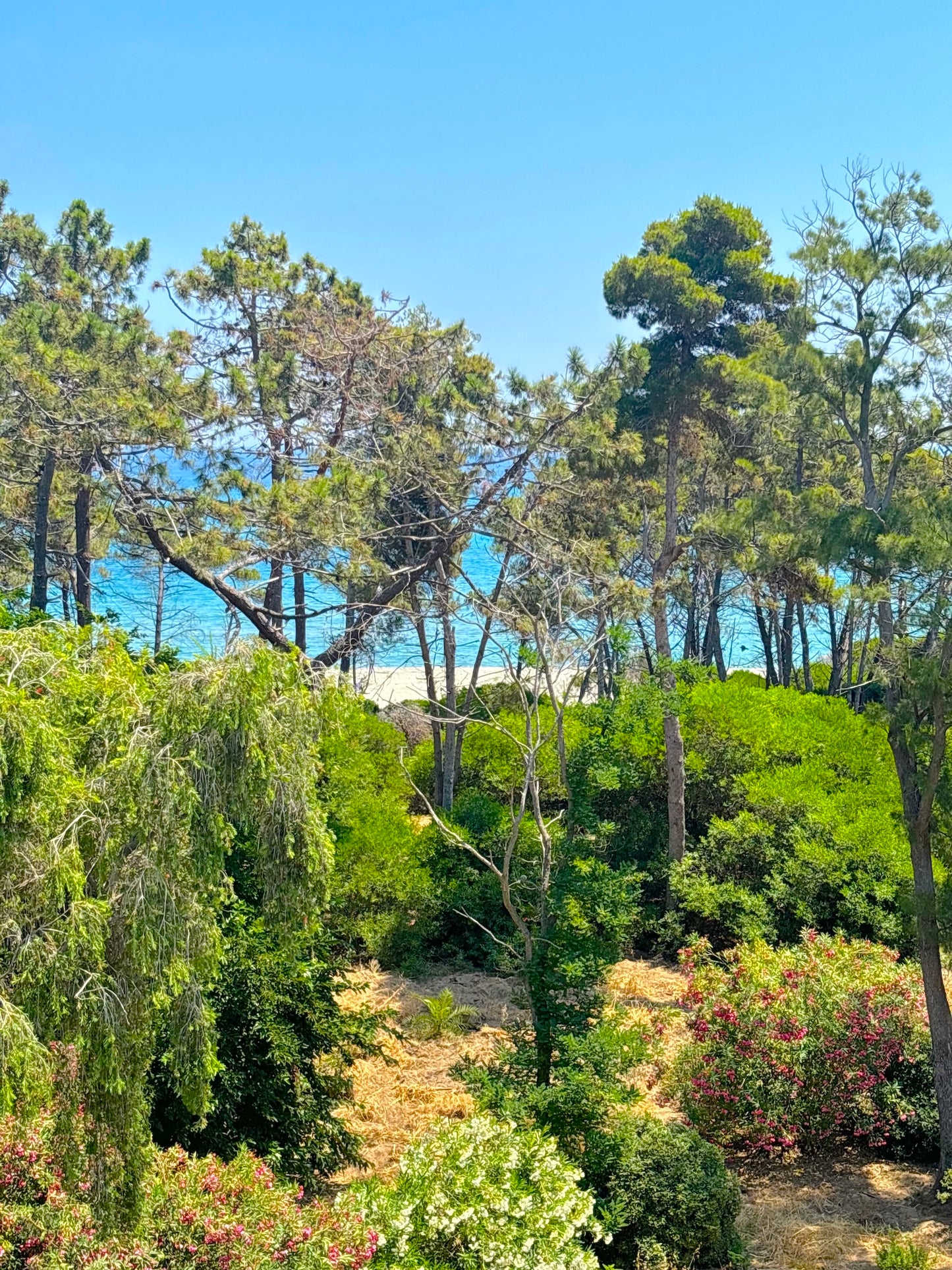 Corse - L'appartement Montecristo