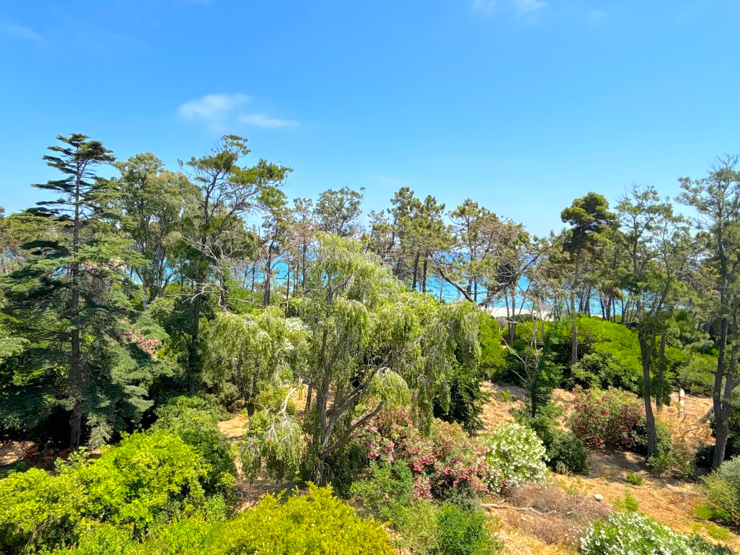 Corse - L'appartement Montecristo