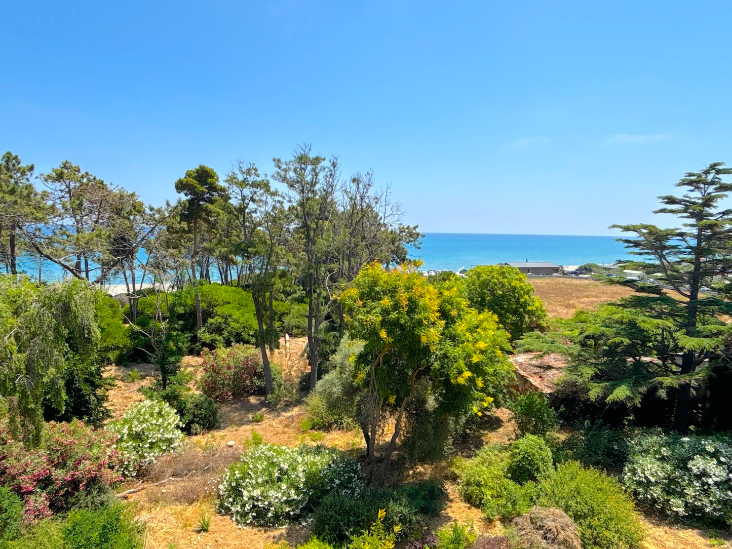 Corse - L'appartement Montecristo