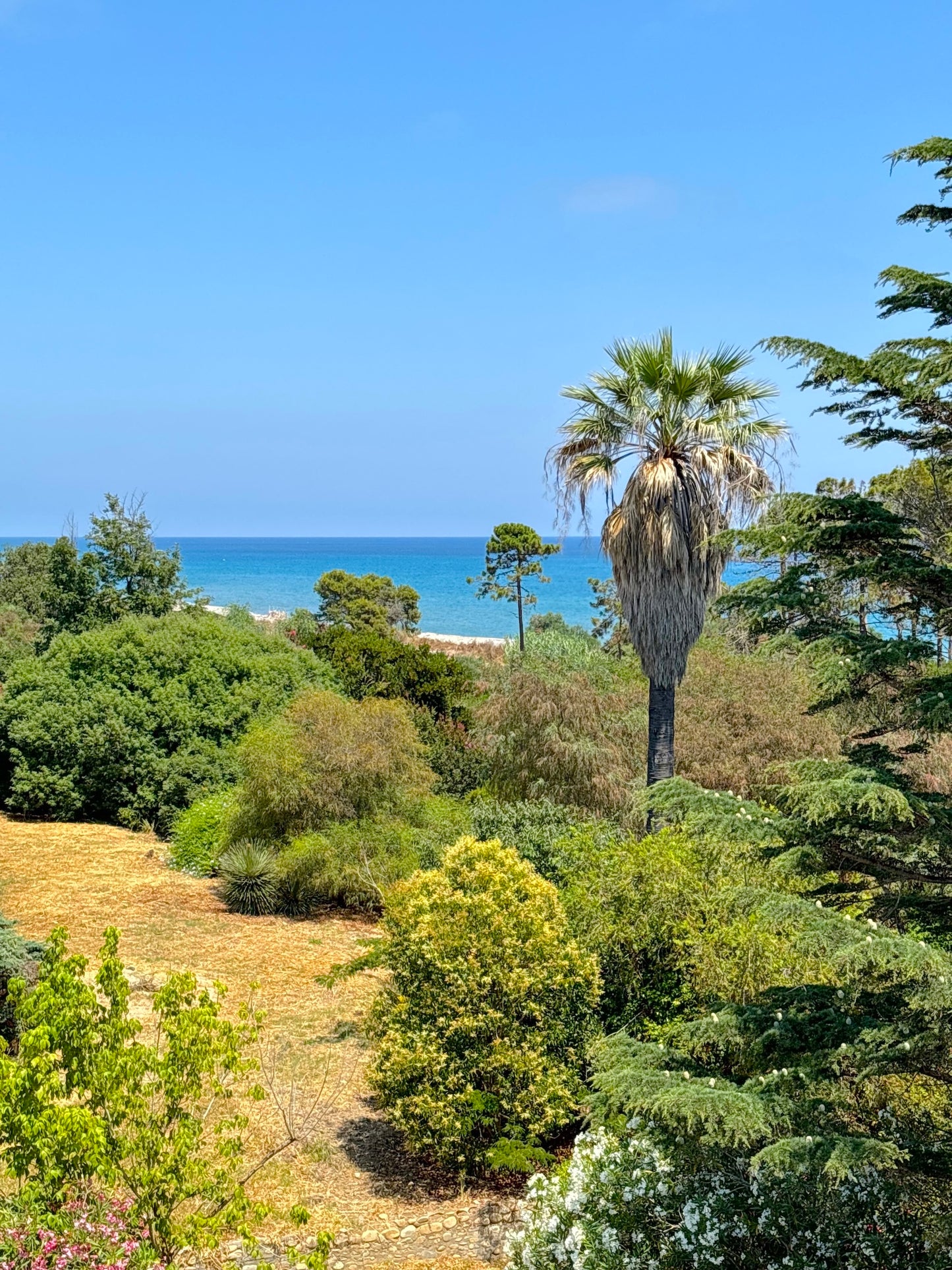 Corse - L'appartement Montecristo