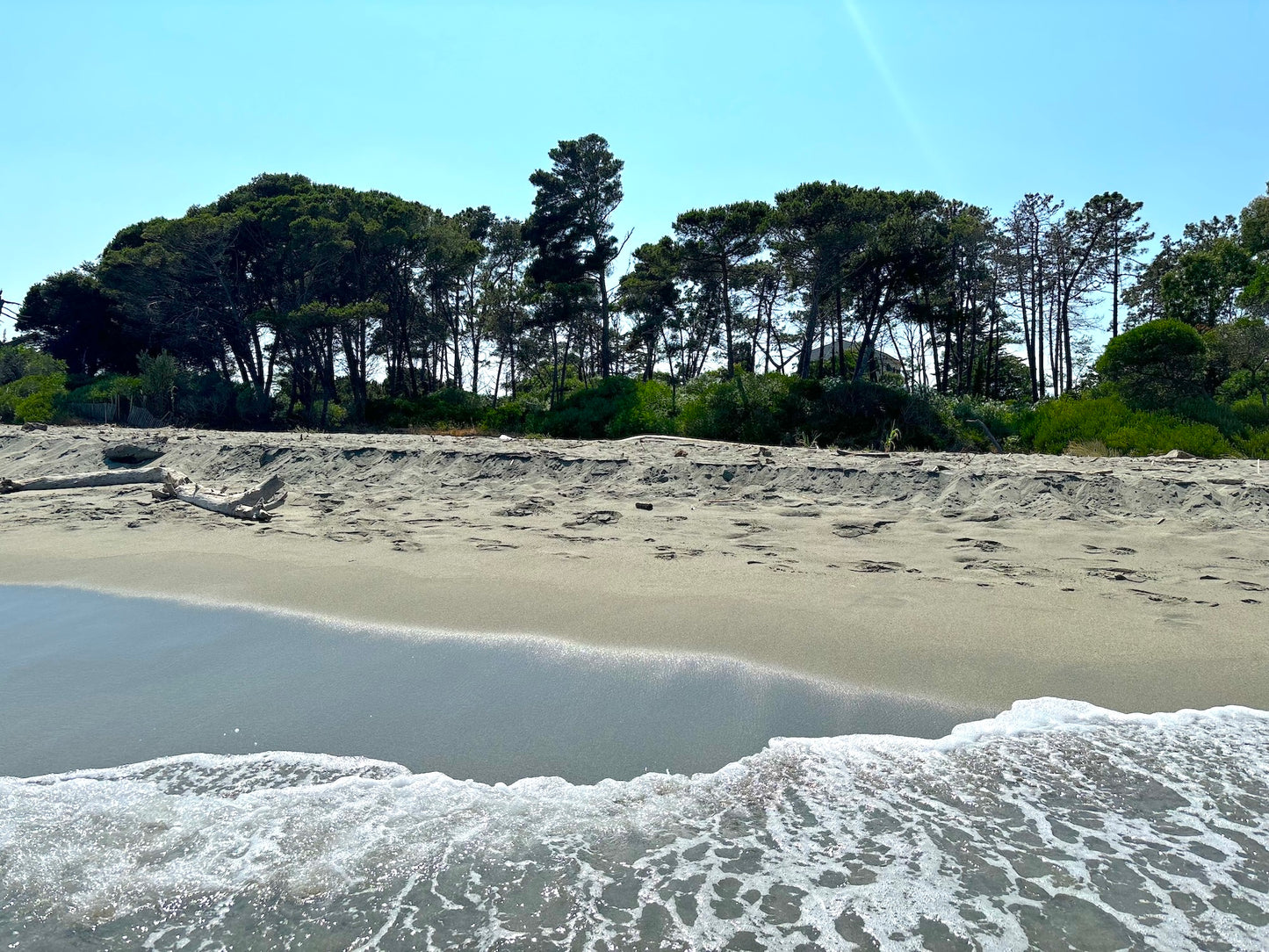 Aléria - L'appartement Vicente