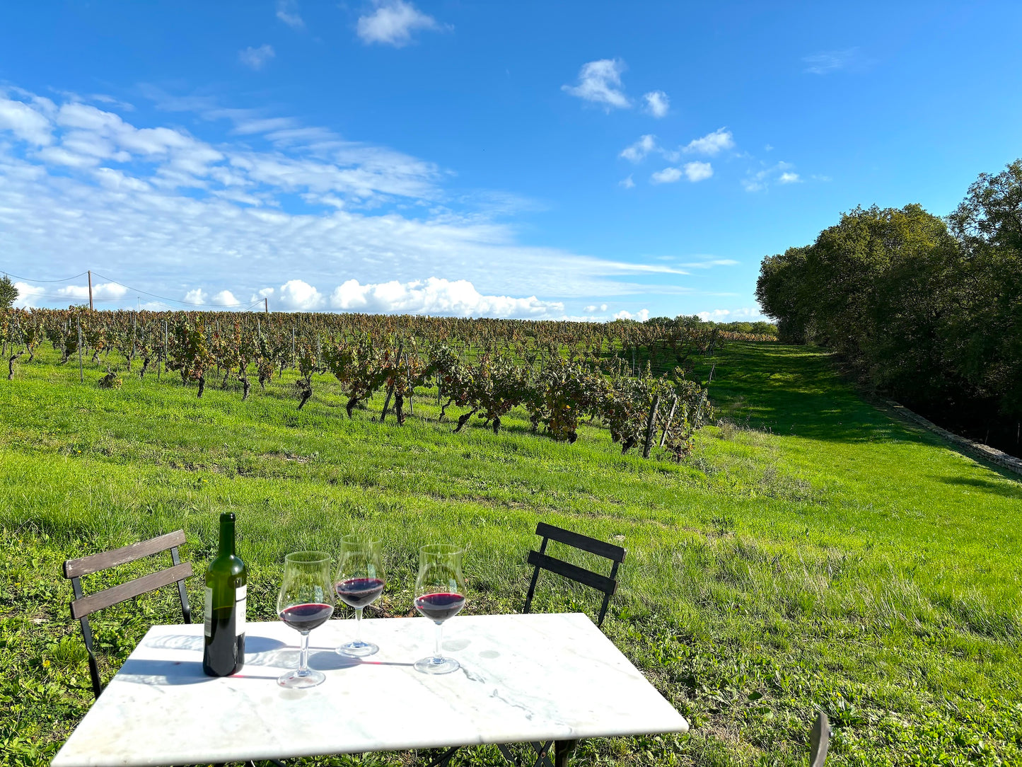 Barguelonne-en-Quercy - Domaine Coeur des Vignes