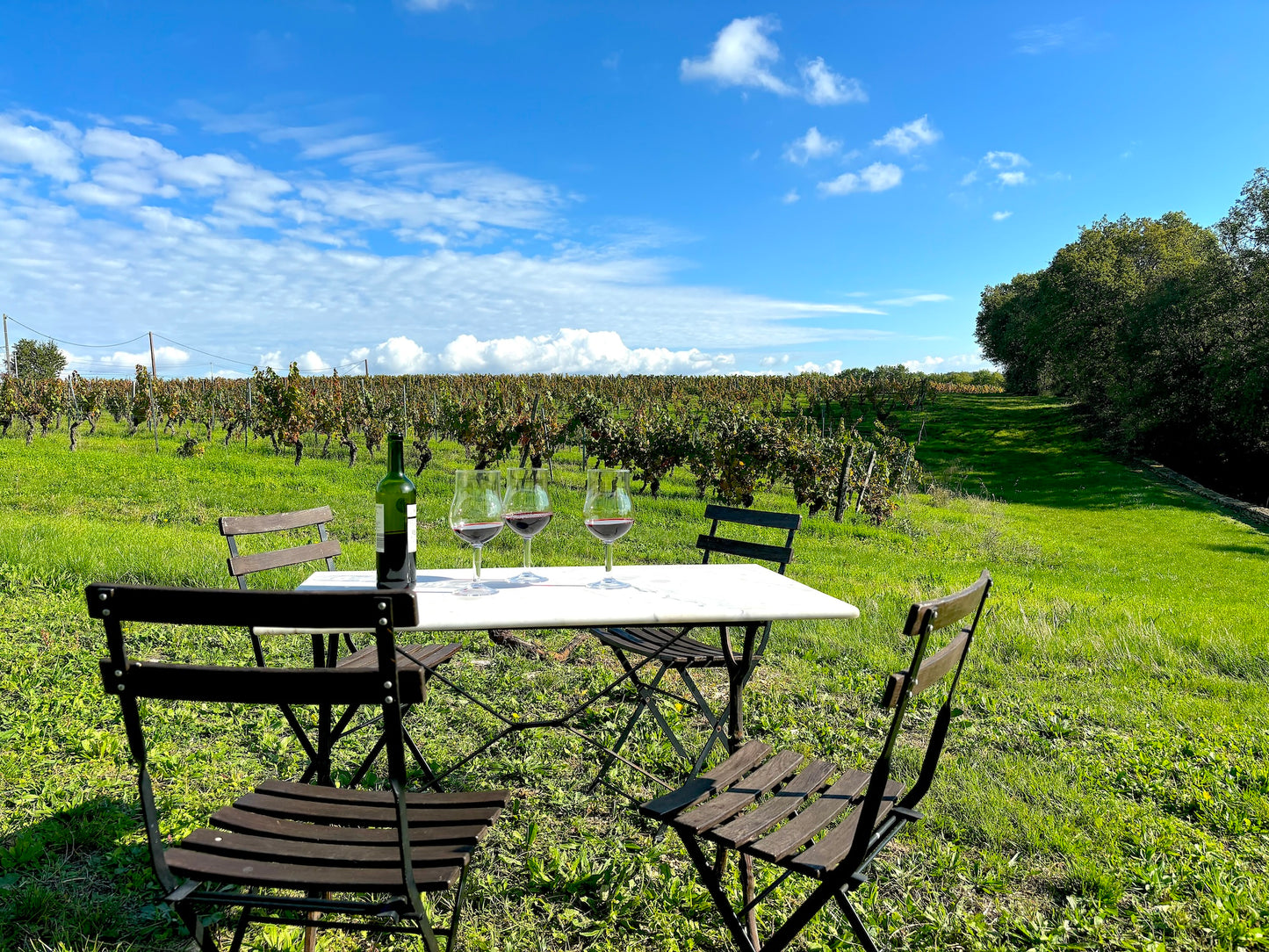 Barguelonne-en-Quercy - Domaine Coeur des Vignes