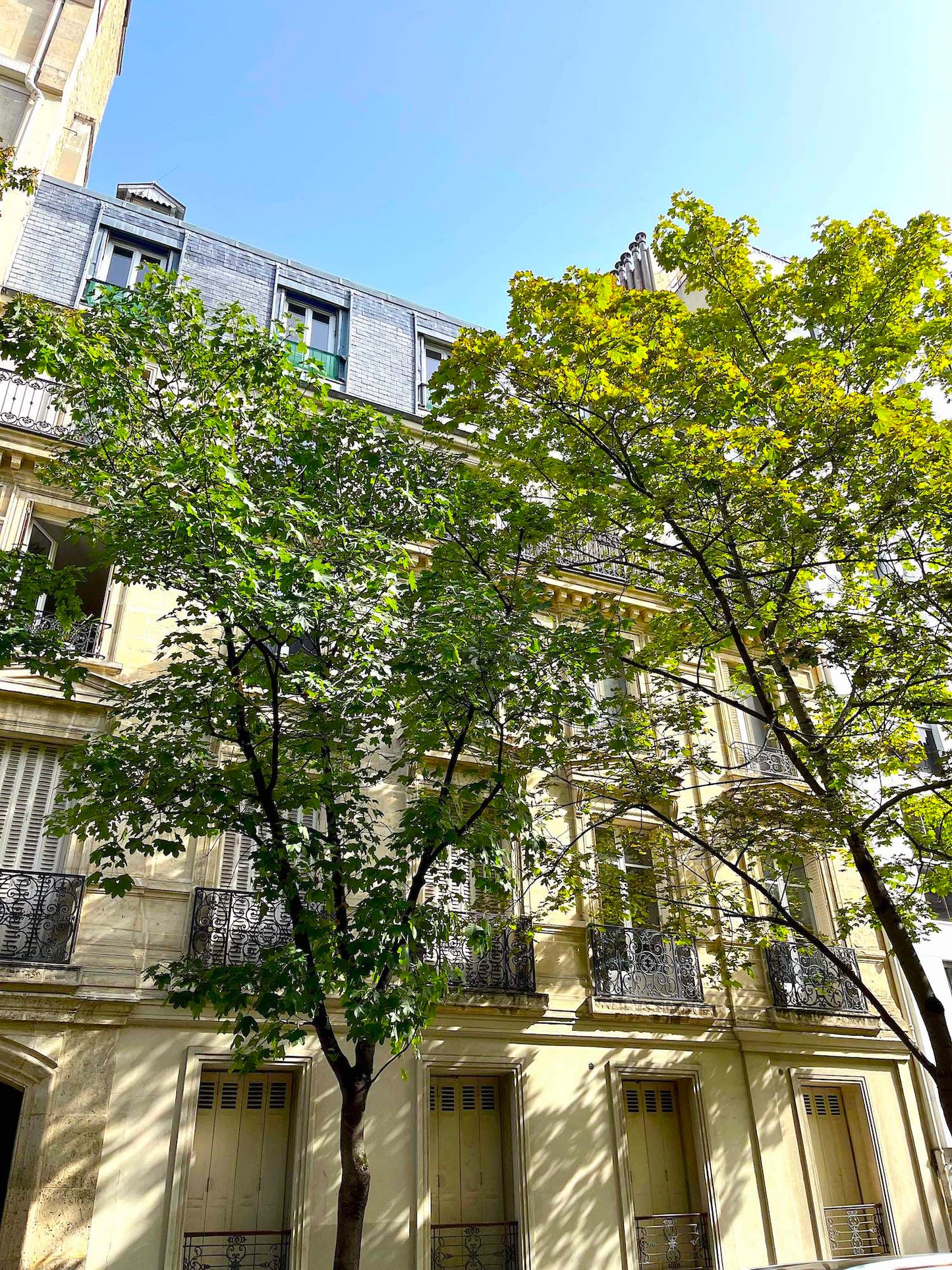 The Michelangelo apartment