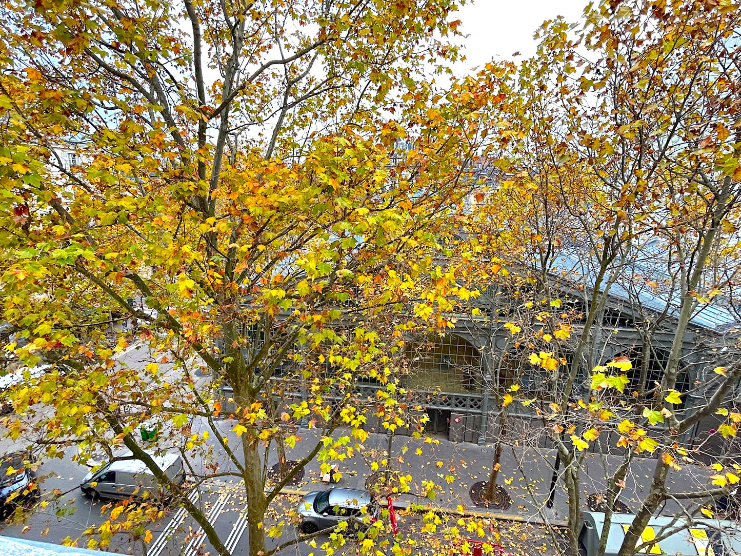 El ático de Picardía