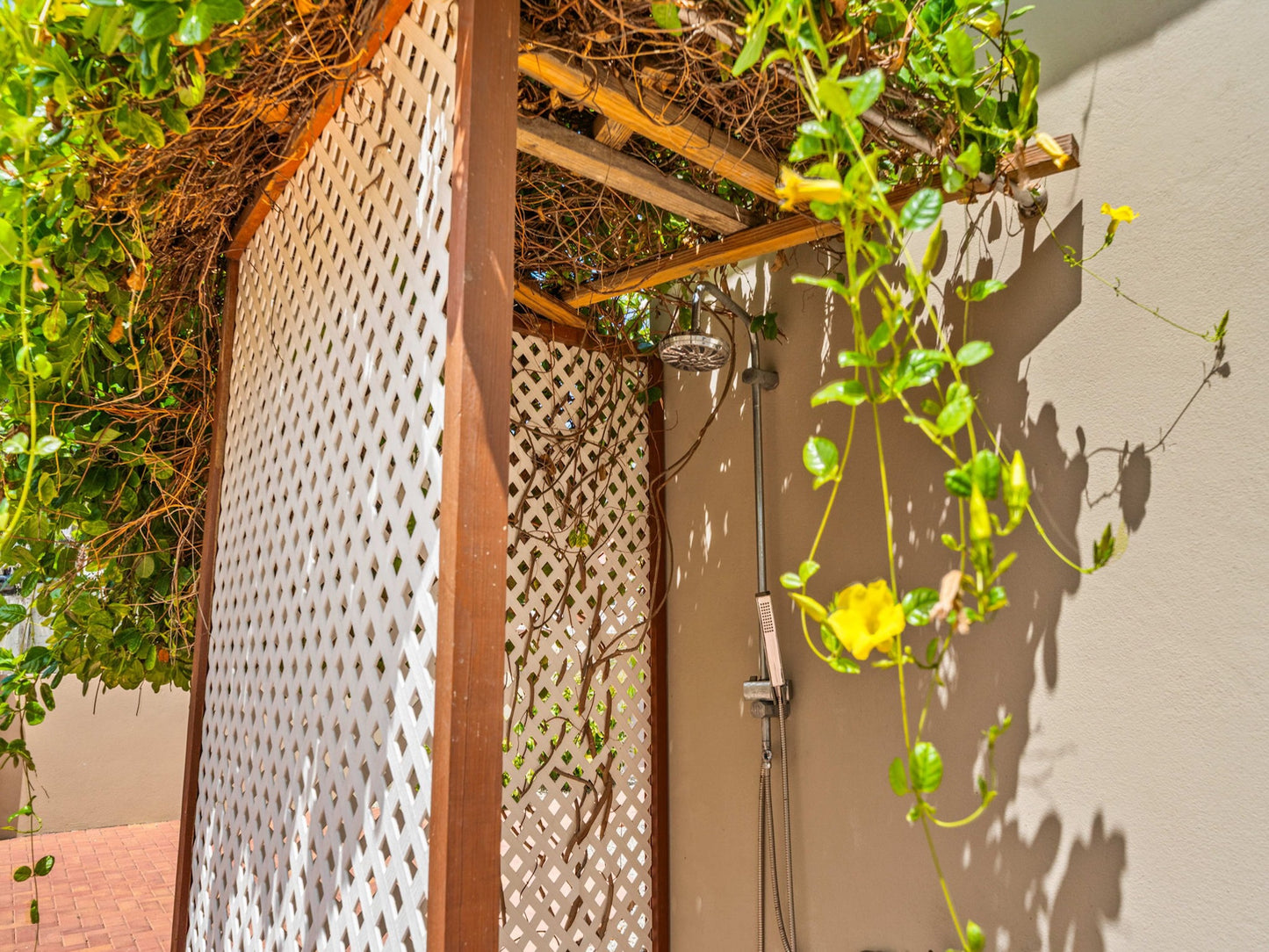 Aruba - Villa Savannah