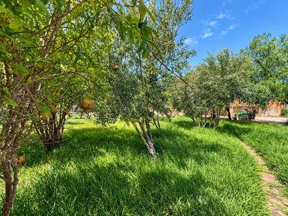 Les Lodges de Tafedna
