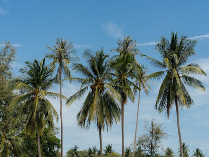 Koh-Samui - Villa Ariana