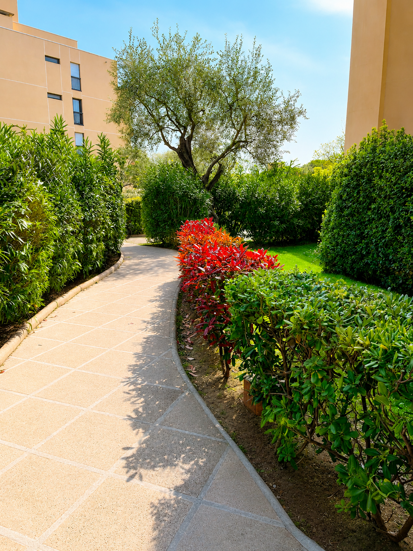Golfe-Juan - El apartamento Magnolia