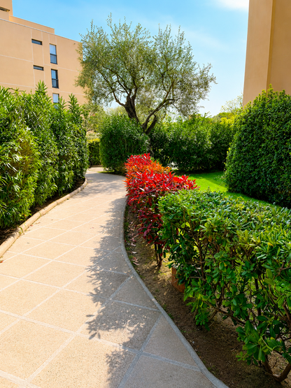 Golfe-Juan - El apartamento Magnolia