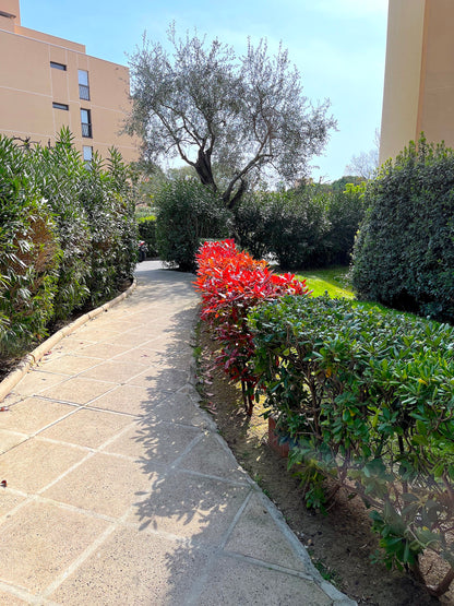 Golfe-Juan - The Magnolia apartment