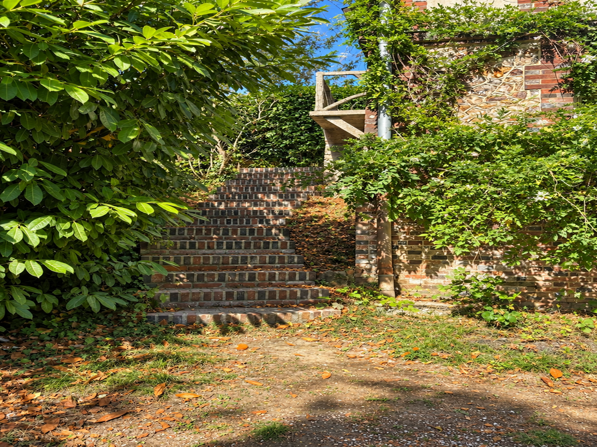 Domaine du Cèdre