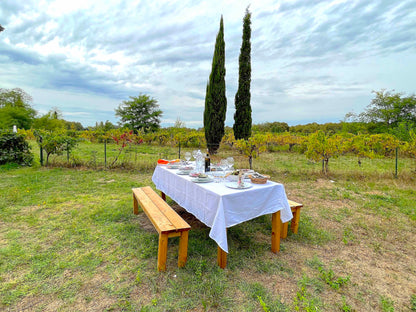 Saint-Emilion - Domaine de Sainte-Terre