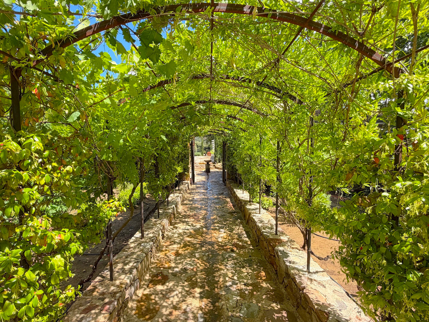 Domaine D'argens