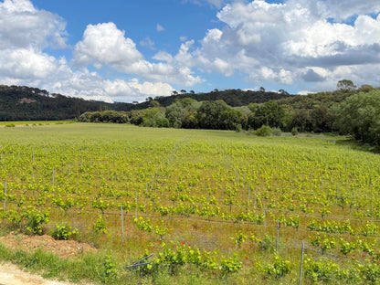 Domaine D'argens