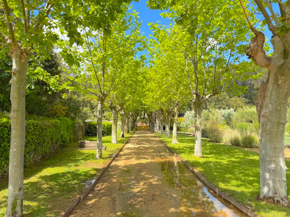 Domaine D'argens