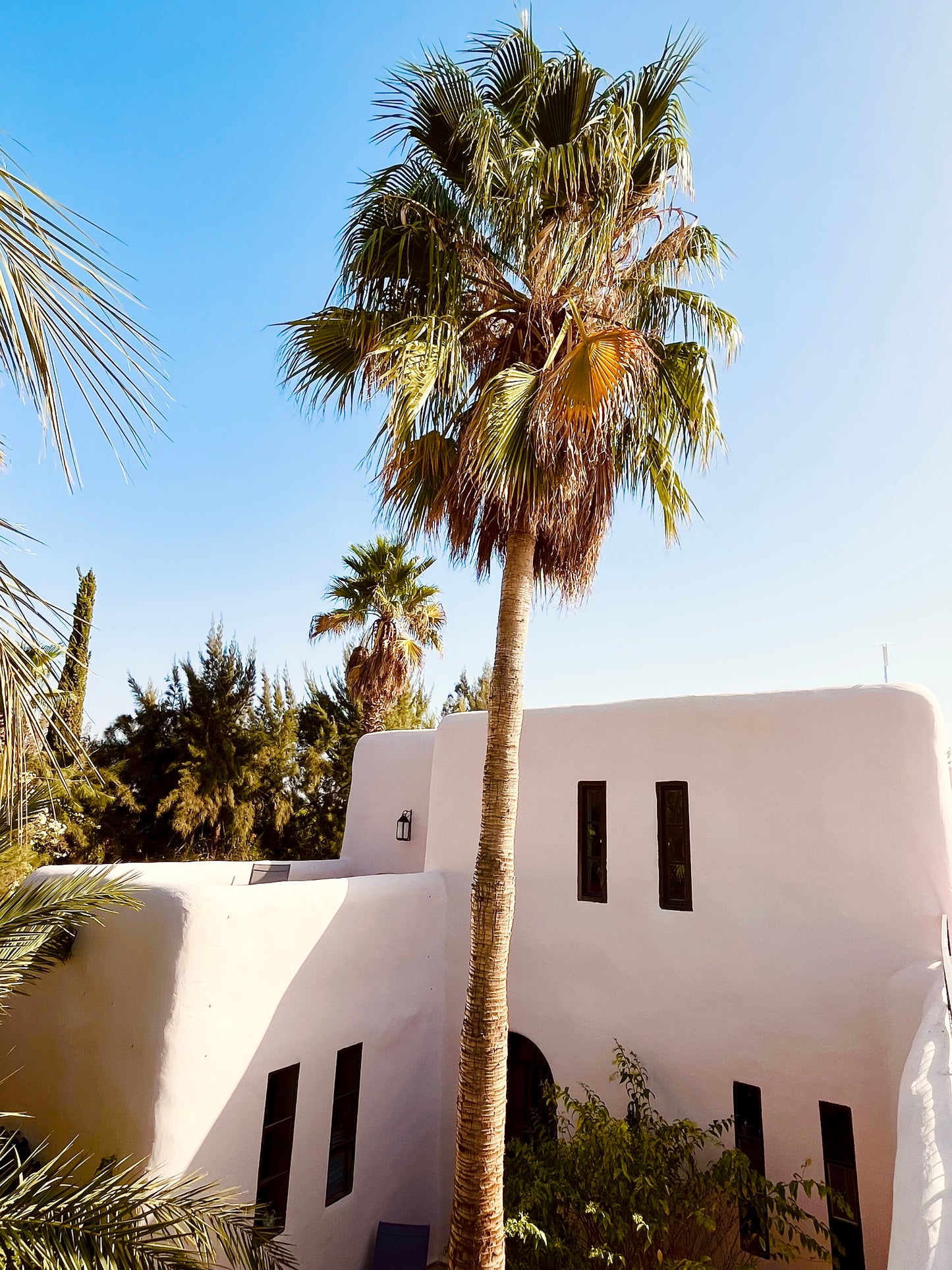 Palais Al Moun