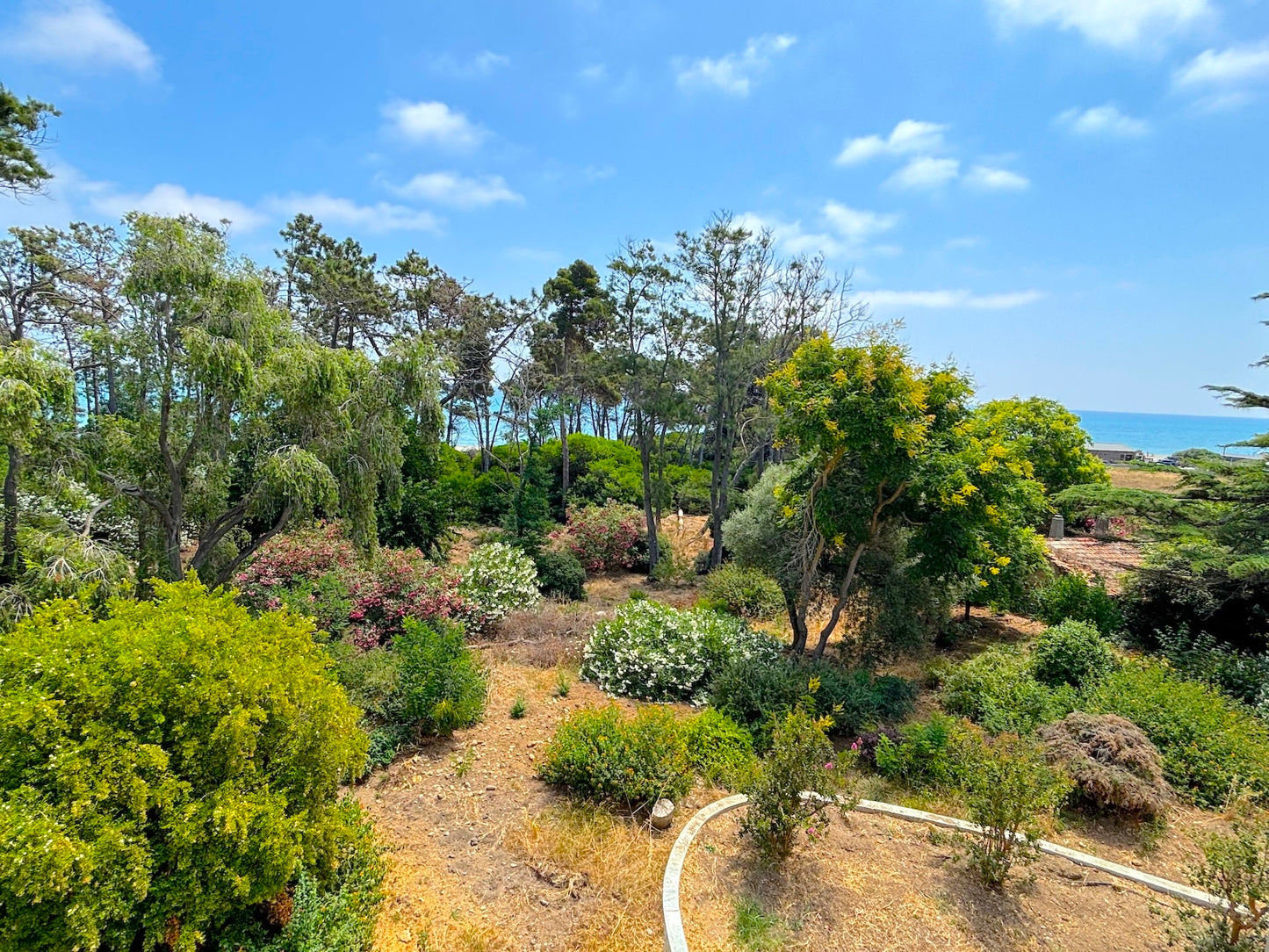 Aléria - L'appartement Vinosa