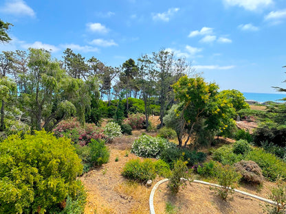 Aléria - L'appartement Vinosa