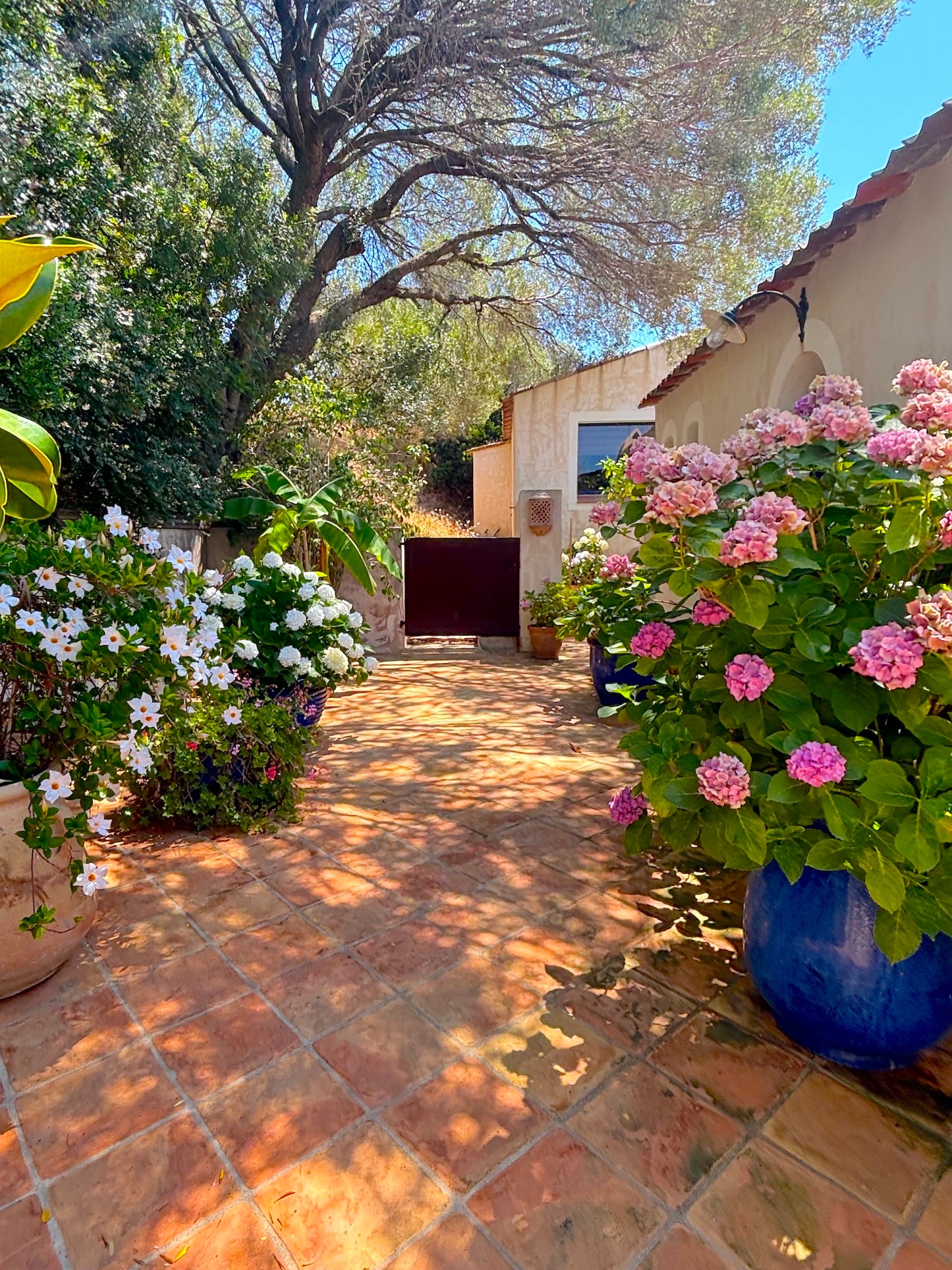 Corse - Villa Paomia