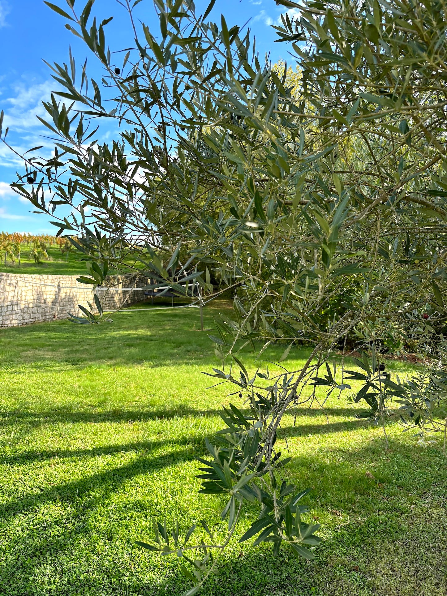 Hameau Cœur des Vignes
