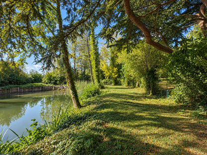 Domaine du Cèdre