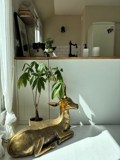 The Dagorno Penthouse