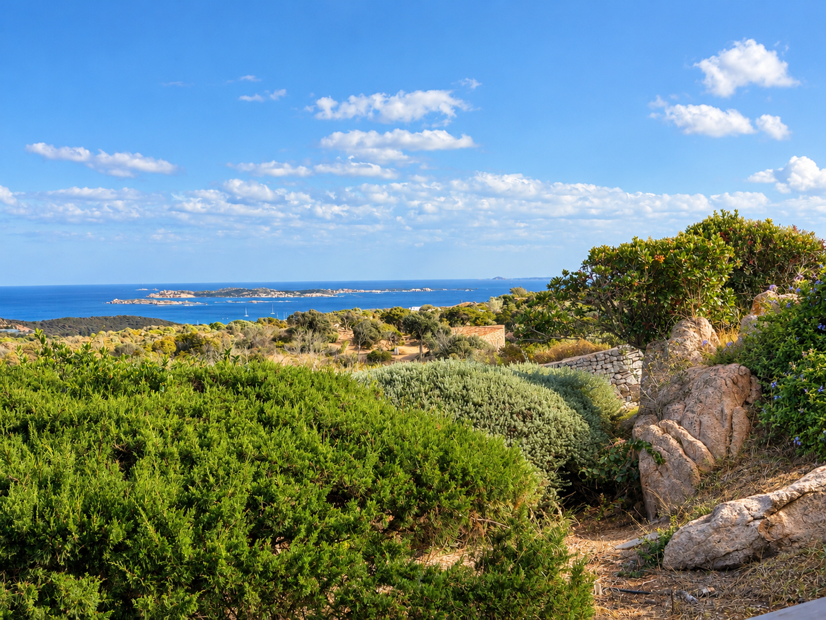 Bonifacio - Villa Carla