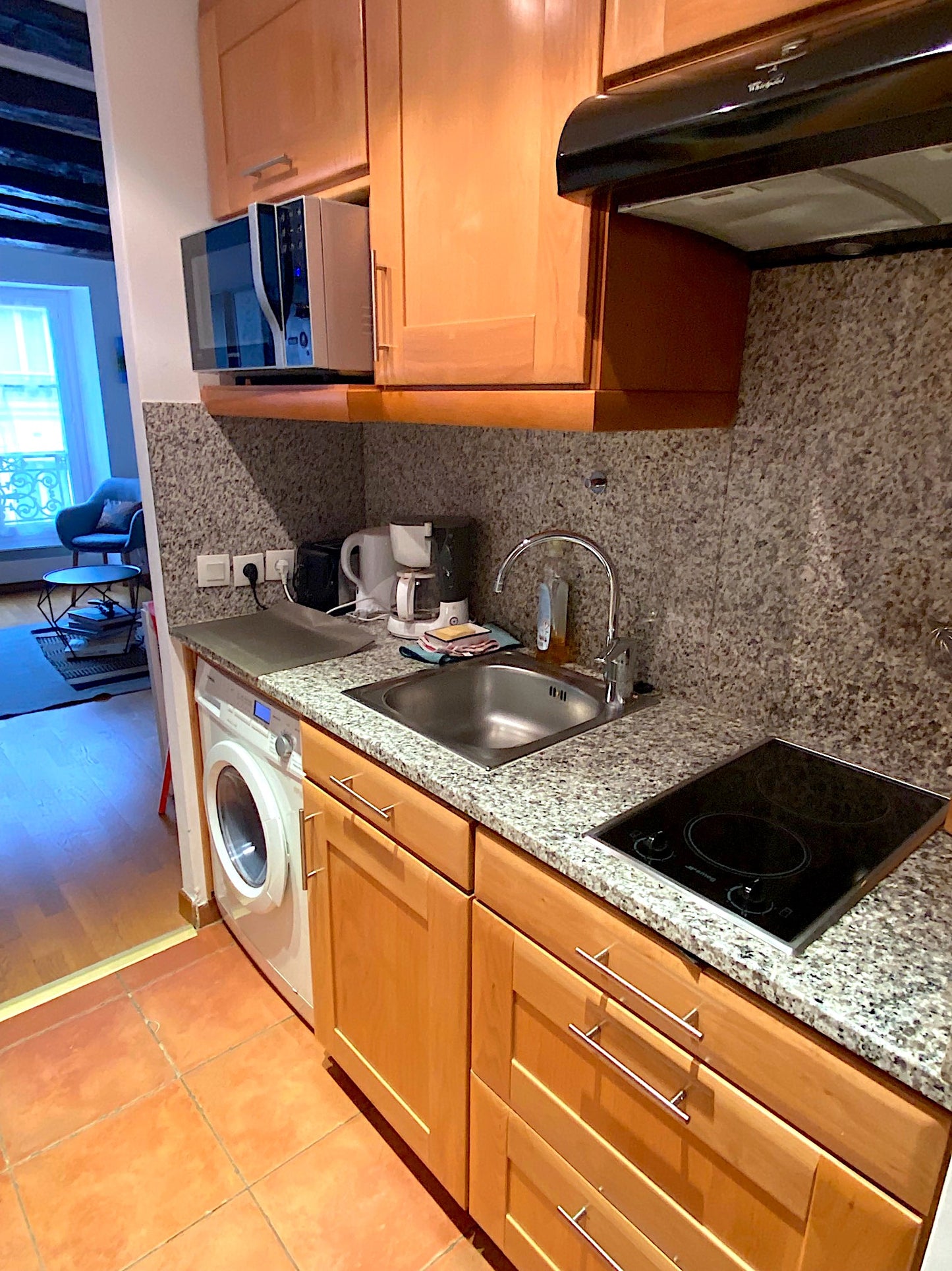 The Vaugirard apartment