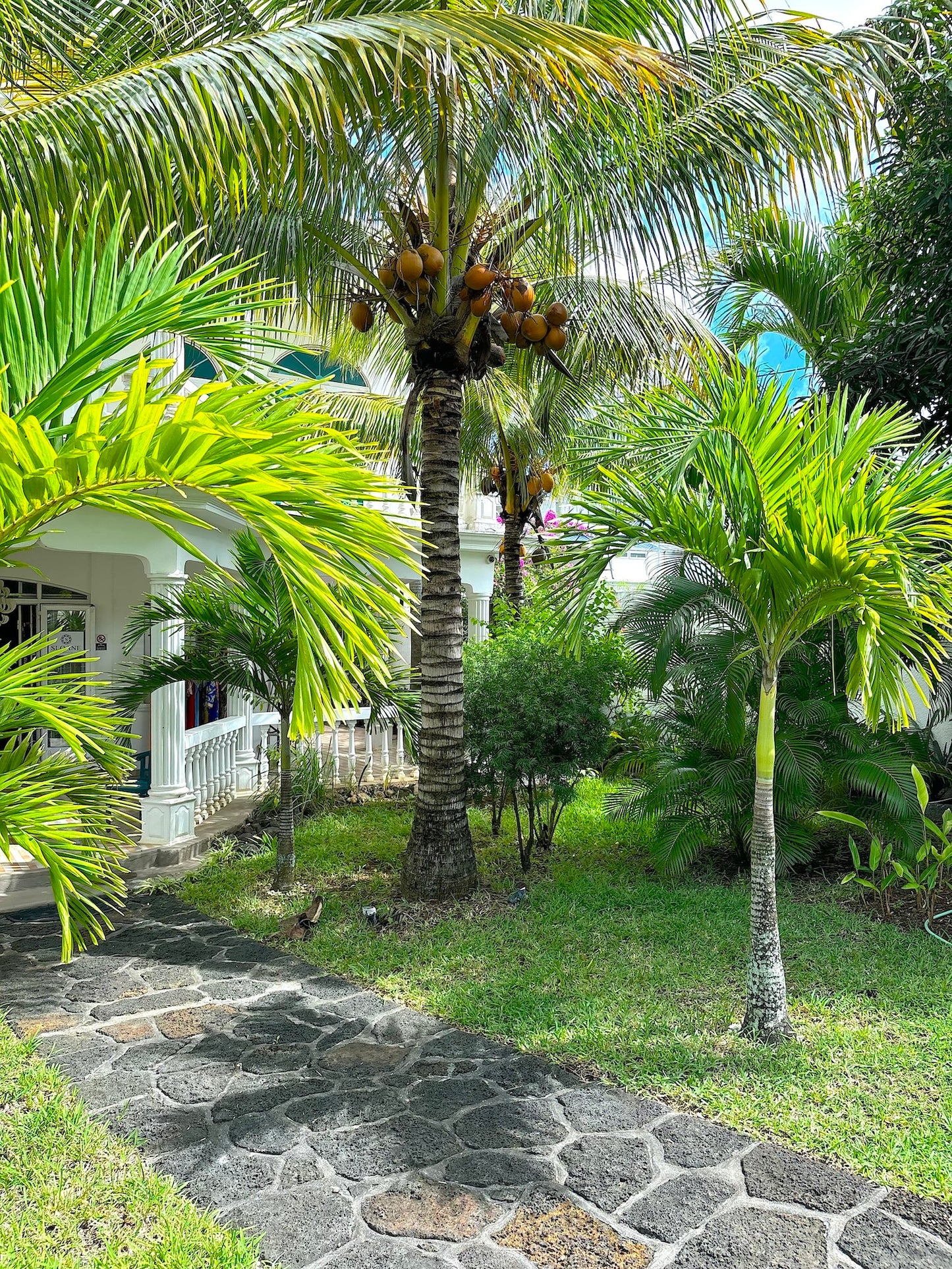 Ile Maurice - Penthouse Sloane