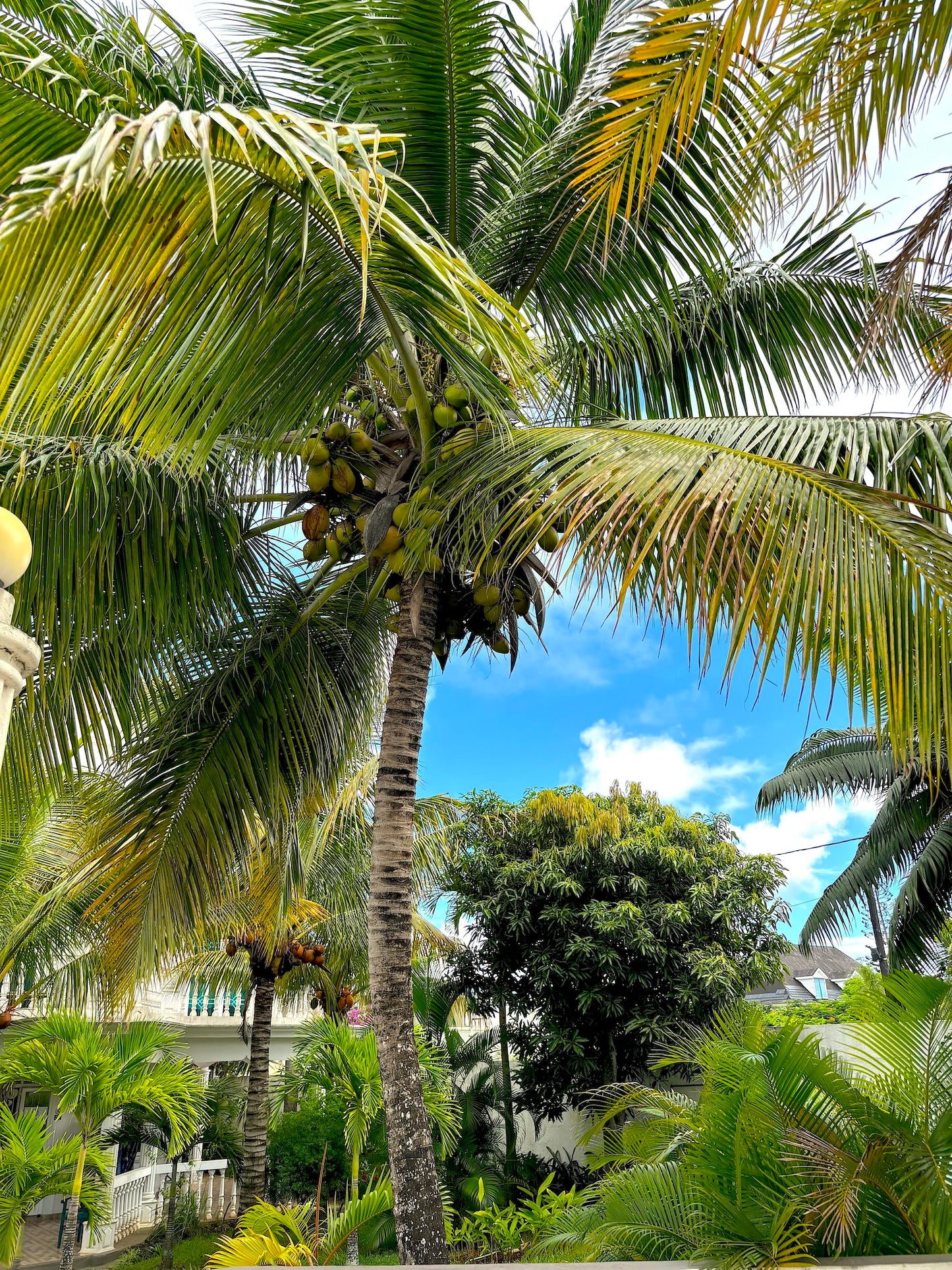 Ile Maurice - Penthouse Sloane