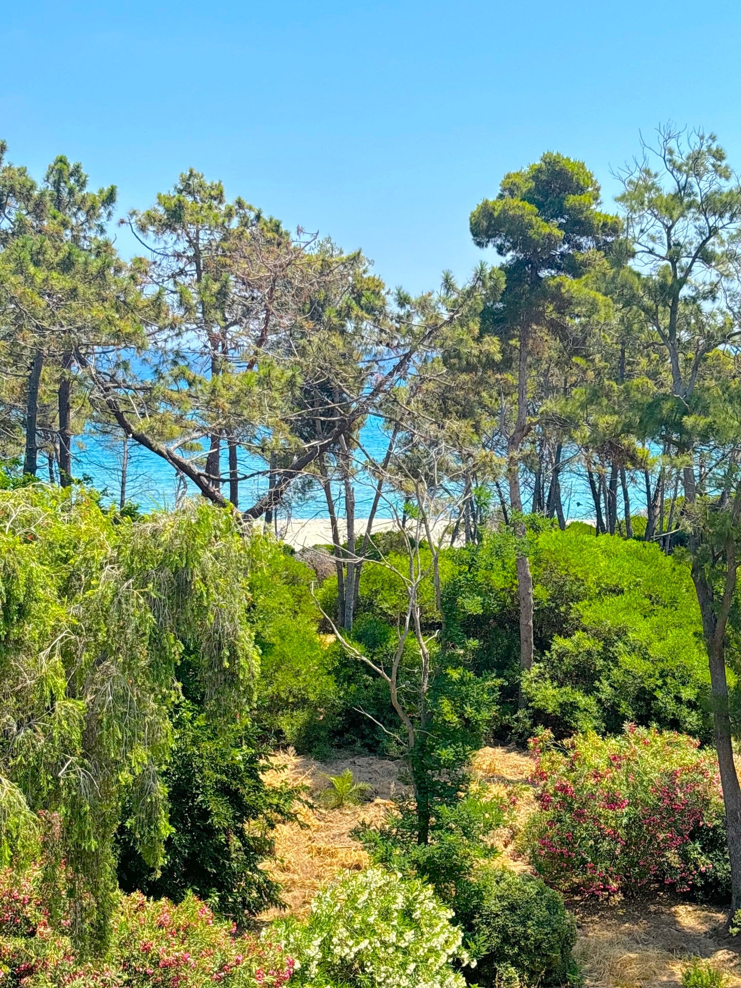 Aléria - Villa Padulone - The French Concierge