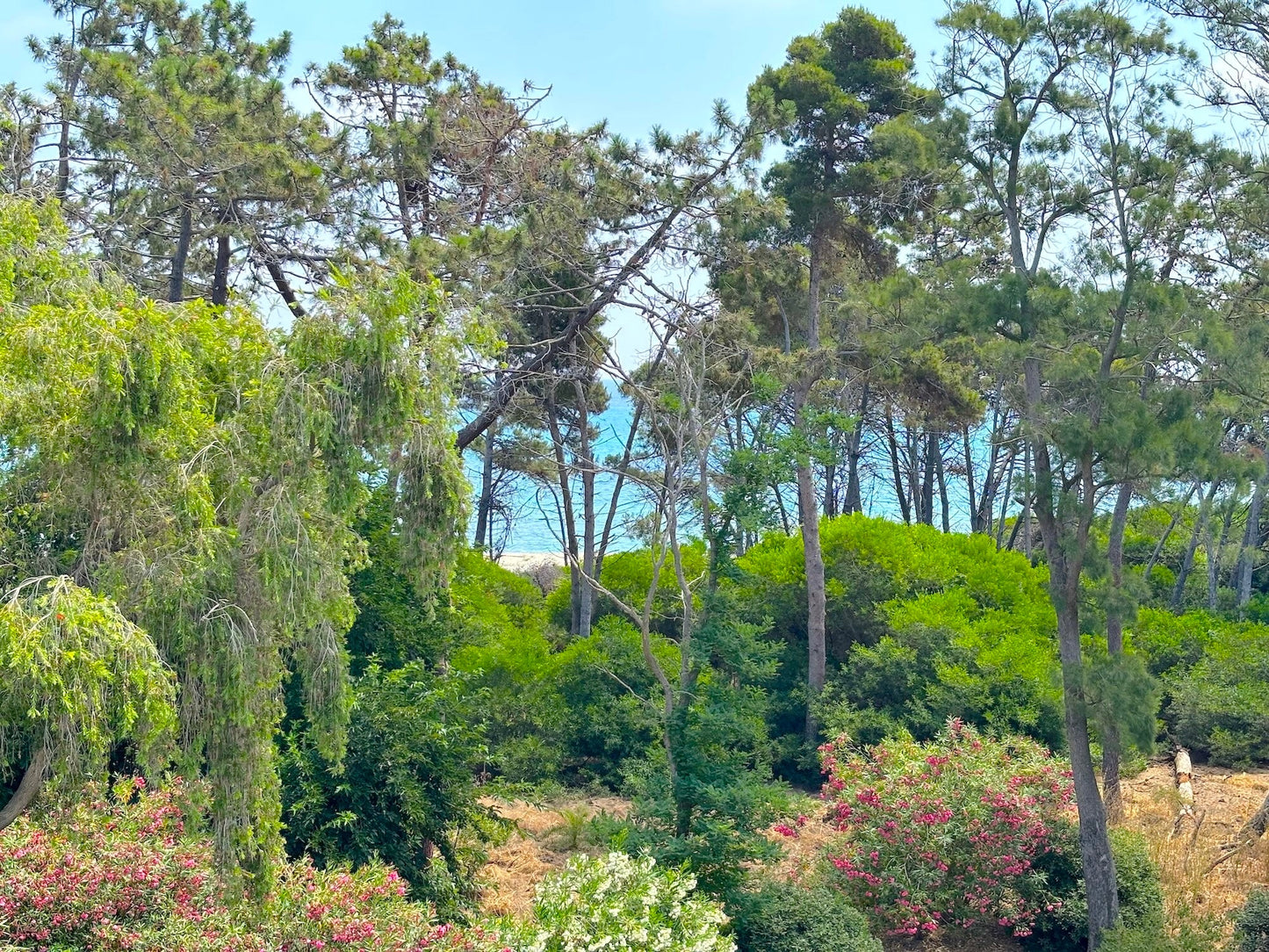 Aléria - Villa Padulone - The French Concierge