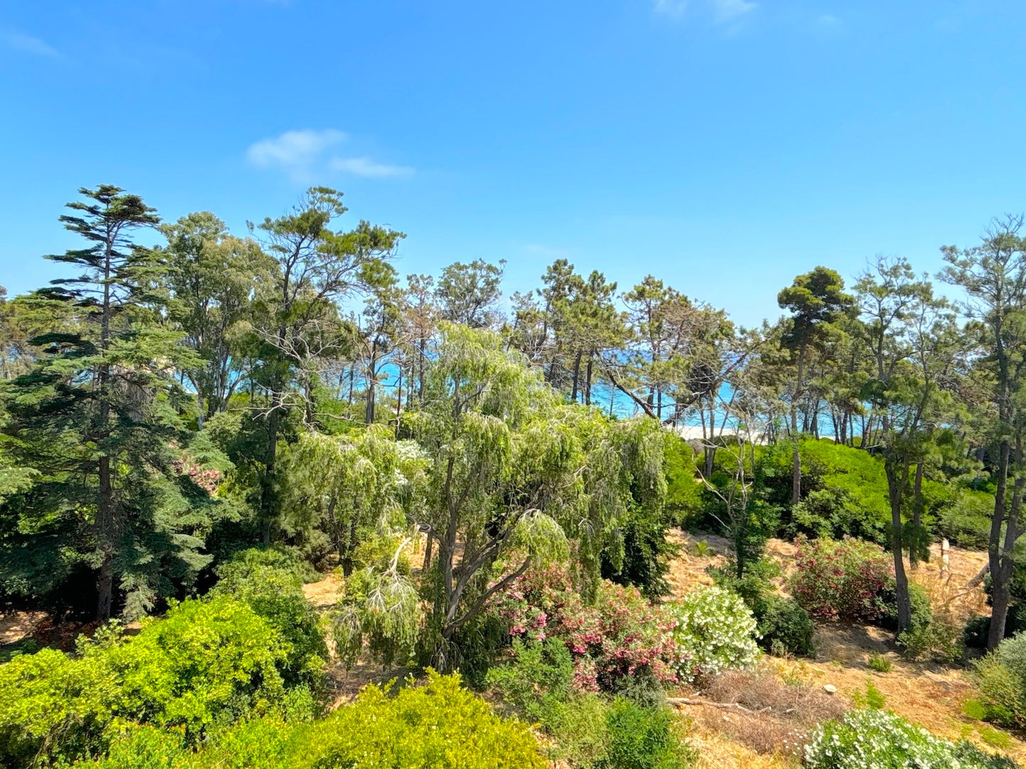 Aléria - Villa Padulone - The French Concierge