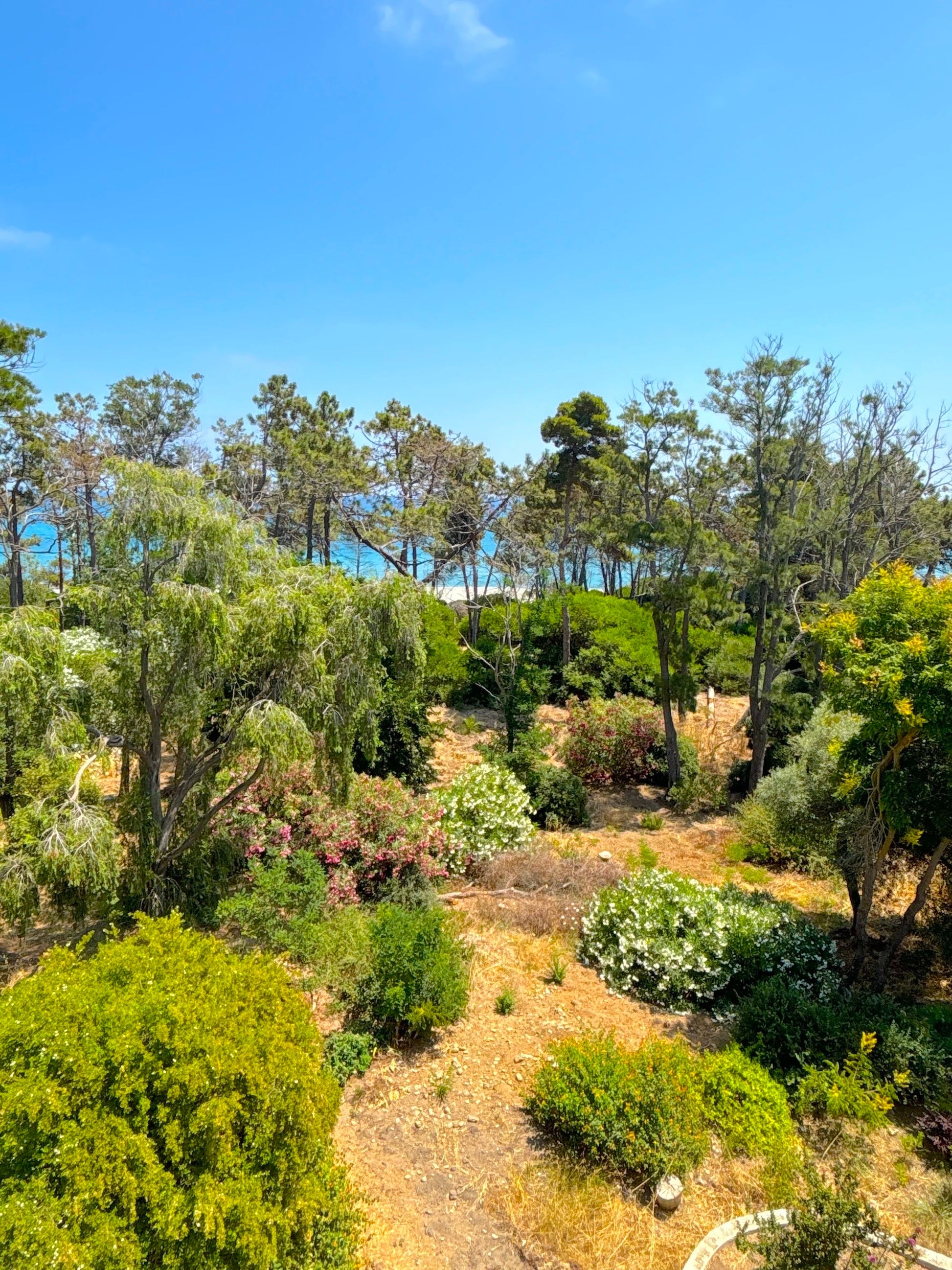 Aléria - Villa Padulone - The French Concierge