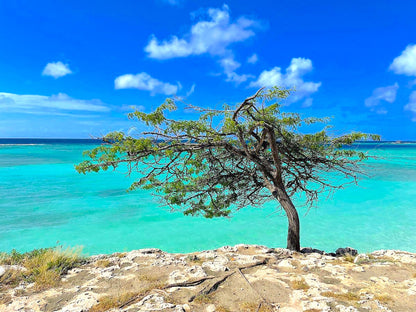 Aruba - Villa Savannah - The French Concierge