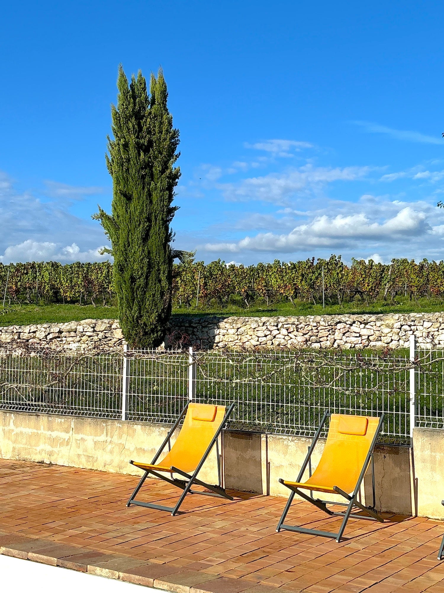 Barguelonne - en - Quercy - Cottage Coeur des Vignes - The French Concierge