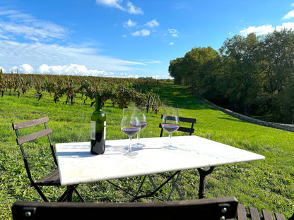 Barguelonne - en - Quercy - Domaine Coeur des Vignes - The French Concierge