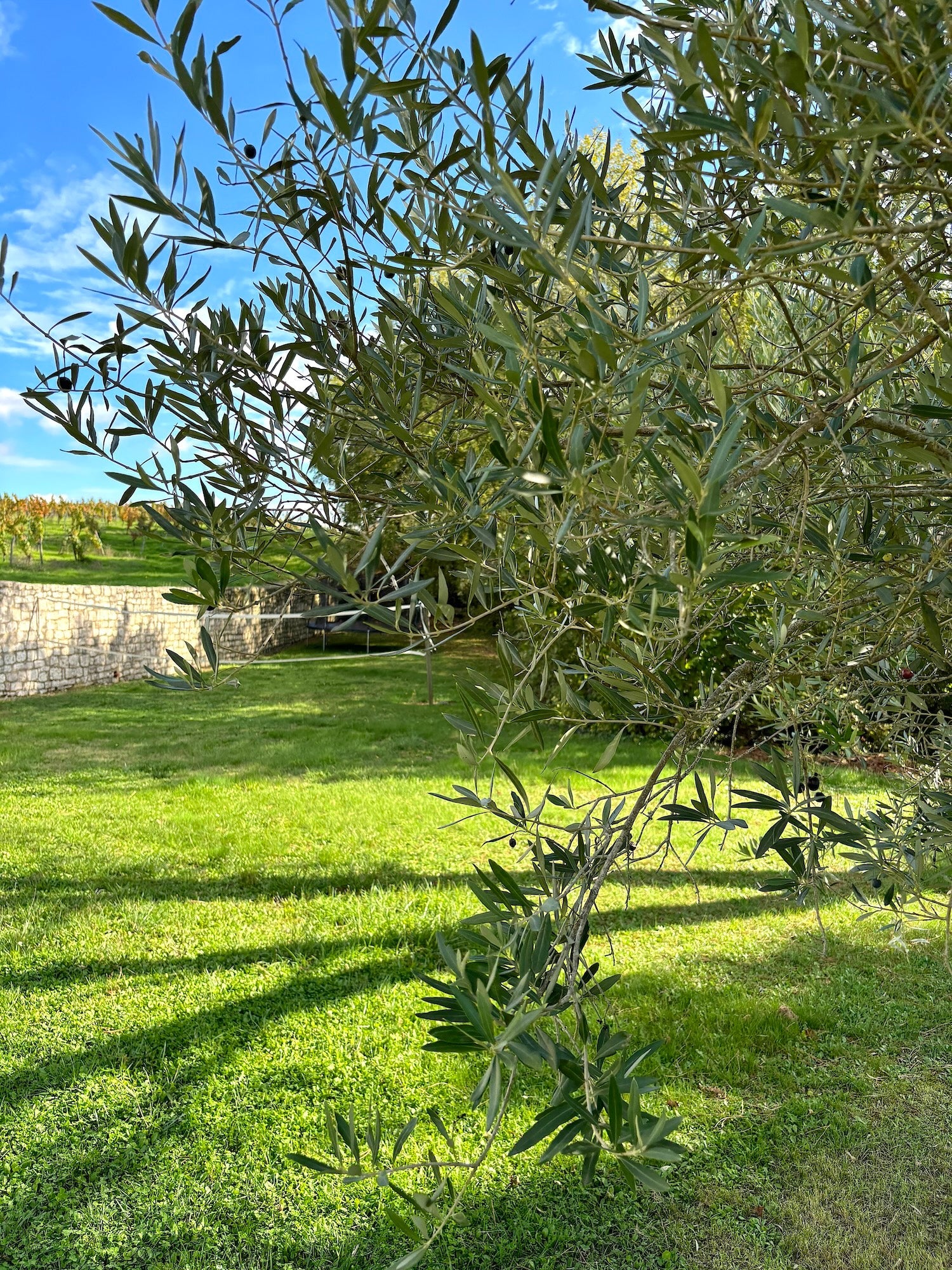Barguelonne - en - Quercy - Domaine Coeur des Vignes - The French Concierge