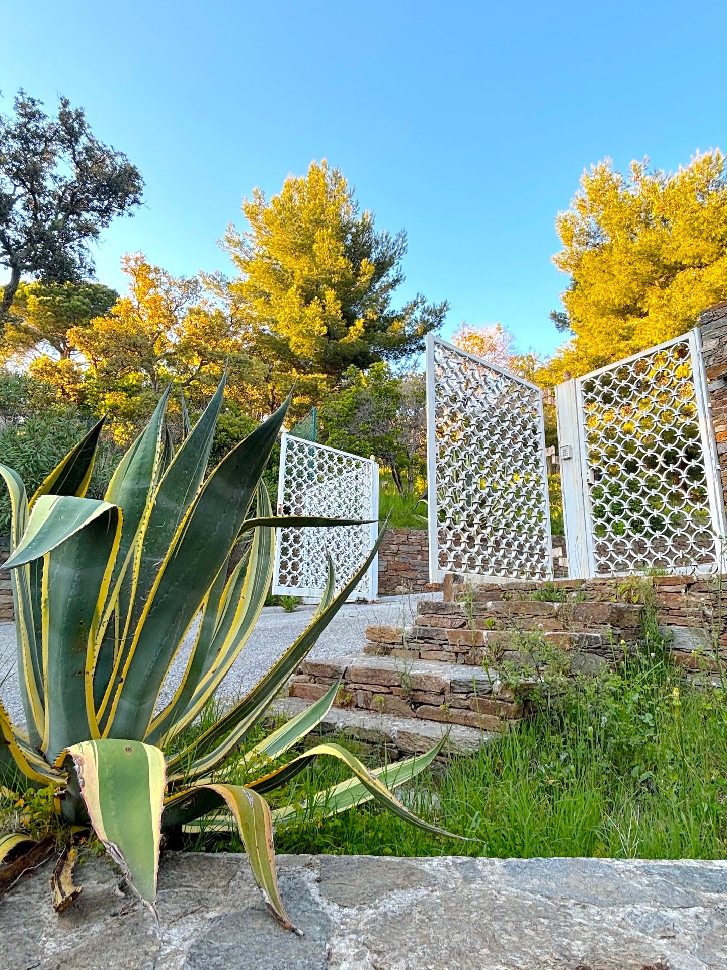 Bormes - les - Mimosas - Villa Bruyères - The French Concierge
